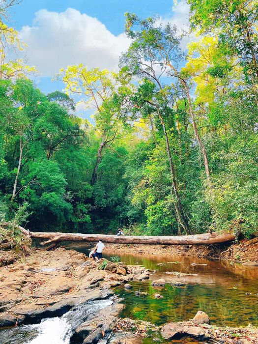 Mẹo trekking Bù Gia Mập cho người mới 3