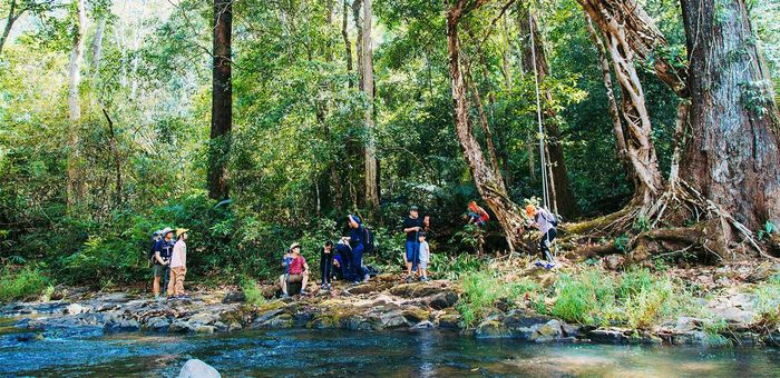 Hướng dẫn trekking Bù Gia Mập an toàn cho những người đam mê du lịch là điều không thể thiếu. Hãy chuẩn bị tinh thần và thể lực để khám phá vẻ đẹp tự nhiên tuyệt vời tại đây!