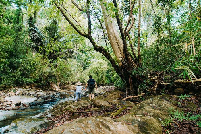 Hướng dẫn trekking Bù Gia Mập an toàn cho những người yêu thích du lịch đây là một trải nghiệm không thể bỏ lỡ. Hãy chuẩn bị tinh thần và thể lực để khám phá vẻ đẹp tự nhiên tuyệt vời tại địa điểm này!