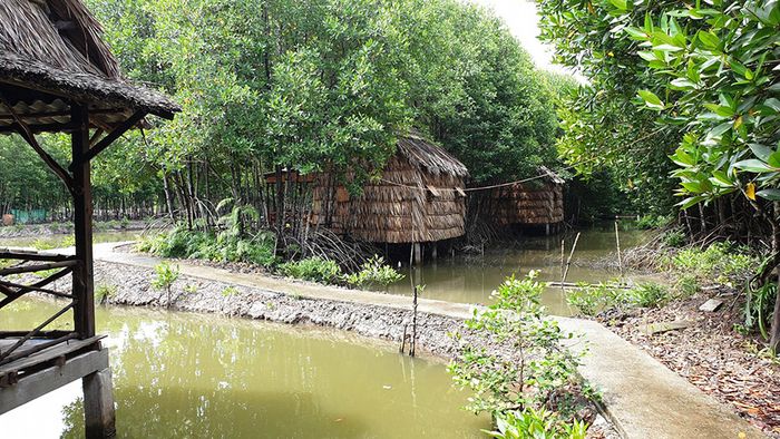 Khám phá vẻ đẹp thiên nhiên tuyệt vời của Điểm dừng chân du lịch Tư Tỵ Rạch Gốc 4