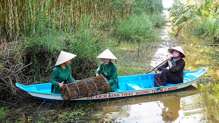 Nghề đặt lưới lờ ở Cà Mau thường được thực hiện vào mùa nước nổi, khi những cơn mưa đầu mùa đổ xuống. Từ tháng 5 đến tháng chạp là thời gian mưa rơi nhiều và cũng là mùa sinh sản của cá tôm. Vì vậy, chỉ cần ra ruộng, ra kênh là có thể thoải mái đặt lưới lờ bắt cá. Các người dân ở đây thường nói, vào mùa nước nổi, chỉ cần đặt lưới lờ là chắc chắn có cá, ít nhất cũng có ít cá, không hề có trường hợp lưới lờ trống không.