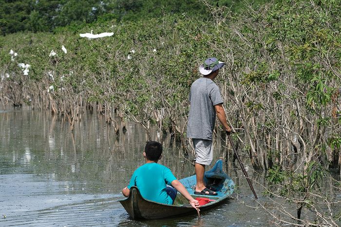 Khám phá vẻ đẹp tự nhiên yên bình và tĩnh lặng của Vườn Cò Tư Sự