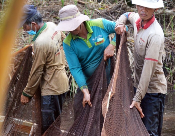 Khám phá Nghề chụp đìa ở Cà Mau qua những hoạt động hấp dẫn 3