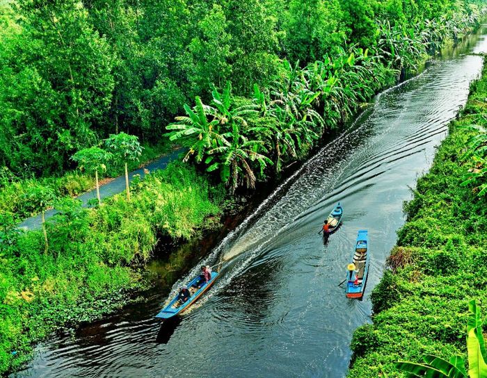 Thưởng ngoạn vẻ đẹp thiên nhiên phong phú của Vườn quốc gia U Minh Hạ