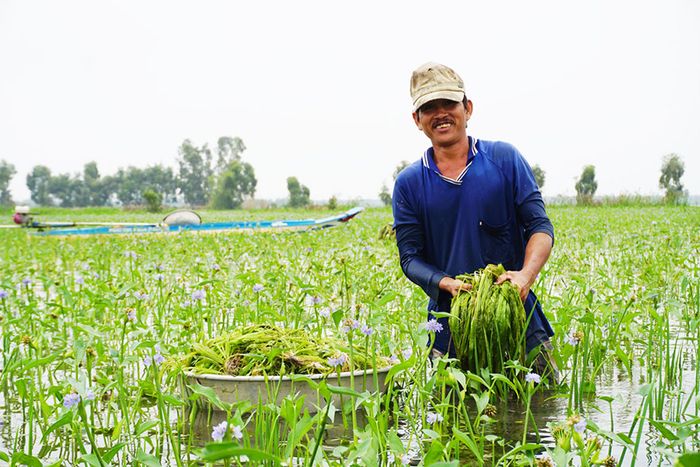 Đặc sản Hẹ nước Cà Mau và các món ăn thơm ngon, hấp dẫn 3