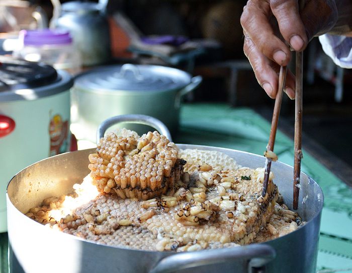 Gỏi nhộng ong rừng U Minh, một đặc sản quý hiếm từ miệt rừng tràm