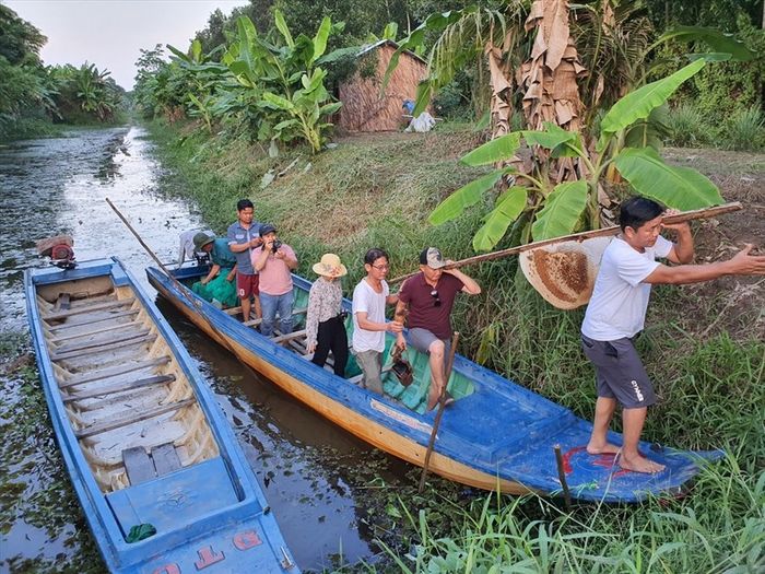 Thưởng thức vị ngọt đặc biệt của Mật ong rừng U Minh, một đặc sản của miền cực Nam Tổ quốc 8