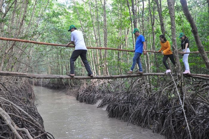 Khám phá Mũi Cà Mau - Điểm cuối cùng của Tổ quốc