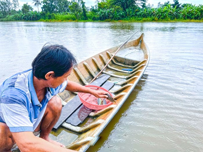 Nét đẹp bình dị của người dân sông nước Cà Mau 2