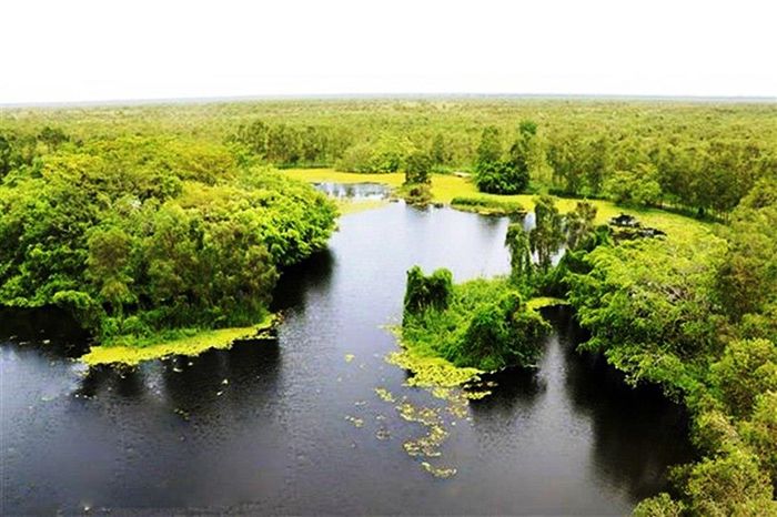 10 điểm không thể bỏ qua khi đến thăm Cà Mau cho những người yêu thích khám phá 5