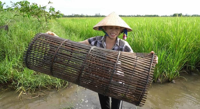 Rộn ràng Nghề đặt lưới lờ ở Cà Mau mỗi khi mùa nước nổi kéo về