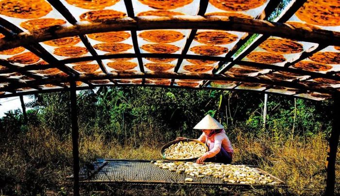 Đặc sản Chuối khô Cà Mau thơm ngon nổi danh gần xa 5