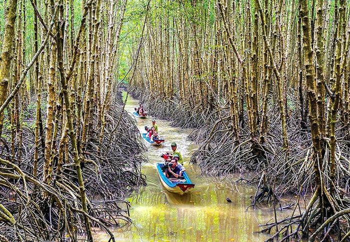 10 điểm du lịch Cà Mau dành cho người đam mê khám phá 7