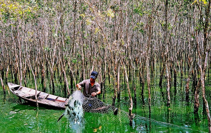 Nét đẹp bình dị của người dân sông nước Cà Mau 3