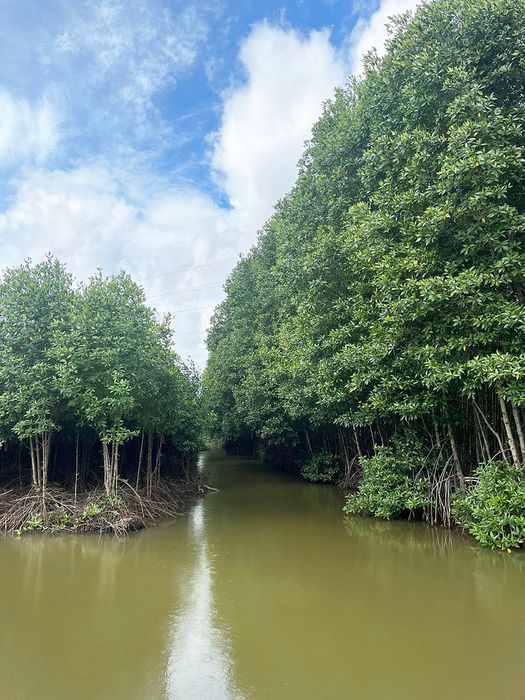 Khám phá vẻ đẹp tự nhiên tuyệt vời của Điểm dừng chân du lịch Tư Tỵ Rạch Gốc 5