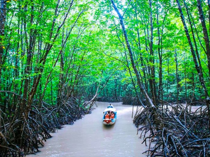 Khám phá hành trình bơi xuồng bắt ba khía ở Đất Mũi với trải nghiệm mới lạ 3