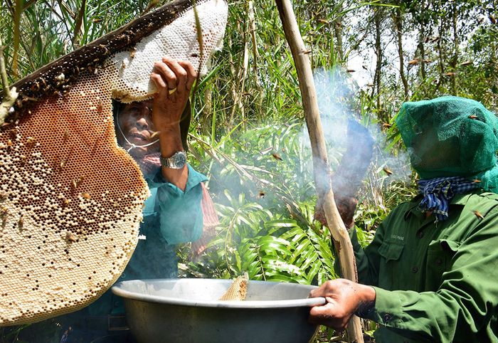 Hướng dẫn chi tiết cho chuyến phượt đài quan sát rừng U Minh Hạ, phần 7