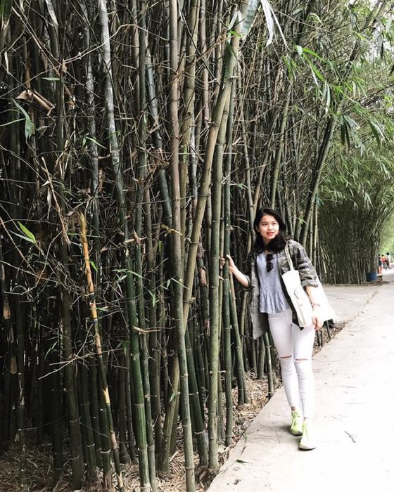 Trải nghiệm tiếng chim ríu rít ở Vườn cò Bằng Lăng 7 ở Cần Thơ