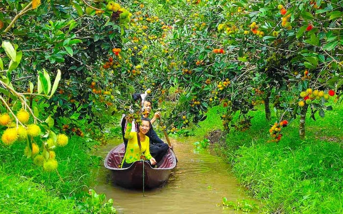 Khám phá Điểm du lịch Cồn Ấu là một hành trình thú vị khi đến với vùng đất Tây Đô.