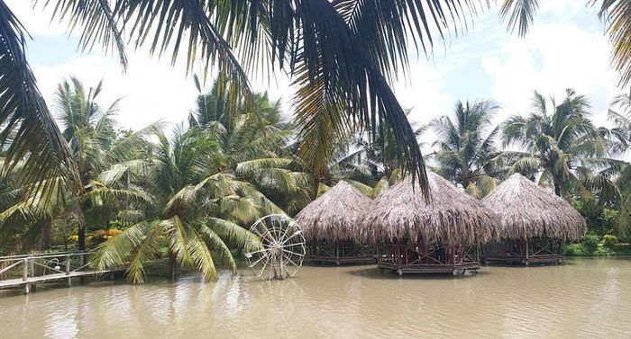 Khám phá và tận hưởng không gian thơ mộng tại Vườn sinh thái Hoa Súng