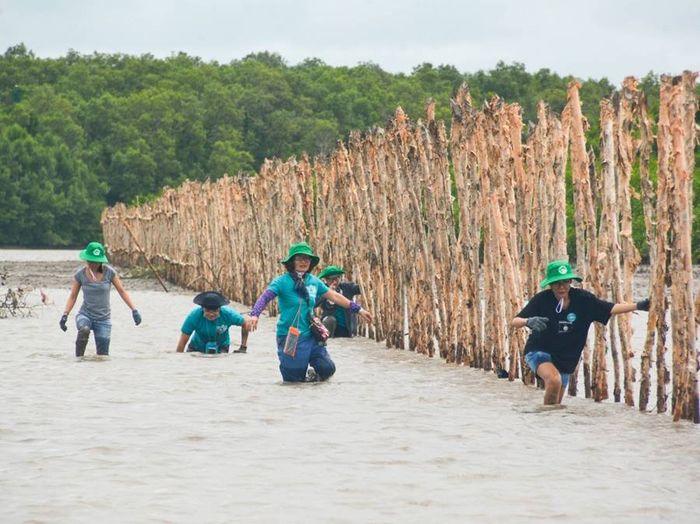 Gợi ý lịch trình khám phá Cà Mau 2 ngày cuối tuần mới lạ.