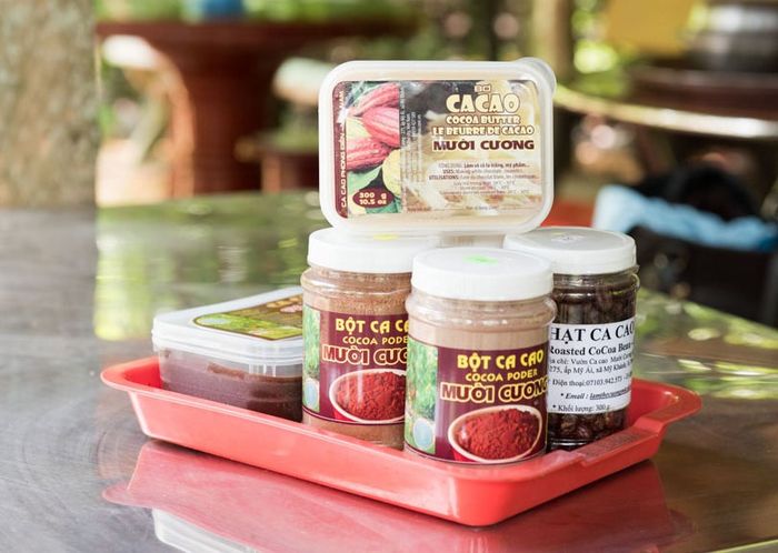 Khám phá nhiều điều mới tại Vườn cacao Mười Cương Cần Thơ 6