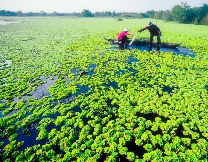 Khám phá Cà Mau - Hành trình không thể bỏ lỡ