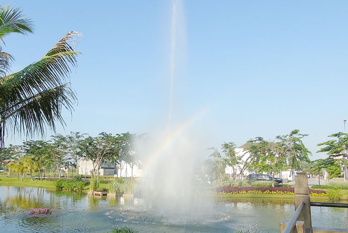 Nhớ ghé quán Cafe Nam Long Garden tại Cần Thơ vào cuối tuần để chiêm ngưỡng view hồ thơ mộng đẹp đẽ.