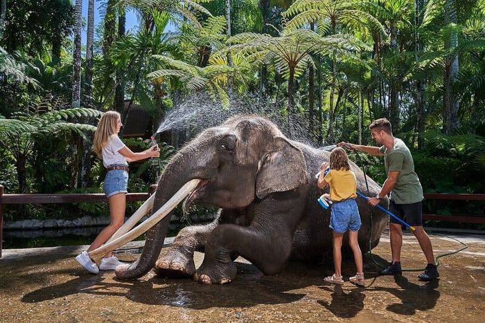 Khám phá Ruộng bậc thang Tegalalang, hòa mình vào thiên nhiên 9
