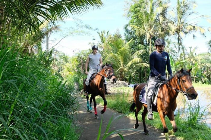 Khám phá Ruộng bậc thang Tegalalang, hòa mình vào thiên nhiên 8