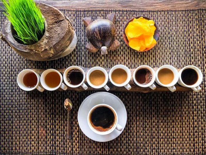 Khám phá Ruộng bậc thang Tegalalang, hòa mình vào thiên nhiên 7