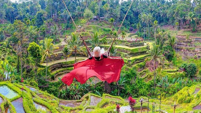 Khám phá Ruộng bậc thang Tegalalang, địa điểm hoà mình vào thiên nhiên 4