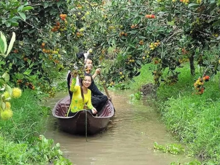 Khu du lịch sinh thái Ông Đề, một điểm đến mới lạ tại Cần Thơ 10