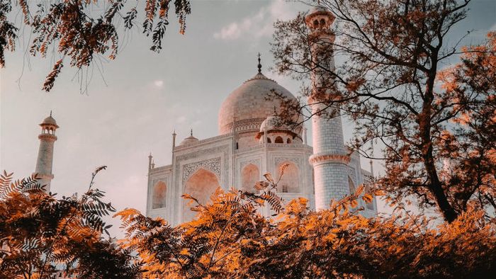 Vẻ đẹp kiến trúc của đền Taj Mahal vinh danh Ấn Độ 10