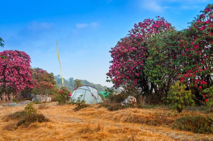 Sikkim - viên ngọc ẩn bên những tu viện linh thiêng của Ấn Độ 10