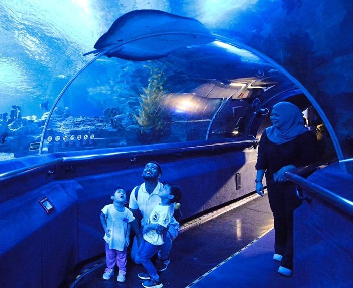 Khám phá Aquaria KLCC với hơn 5.000 loài sinh vật biển đặc sắc