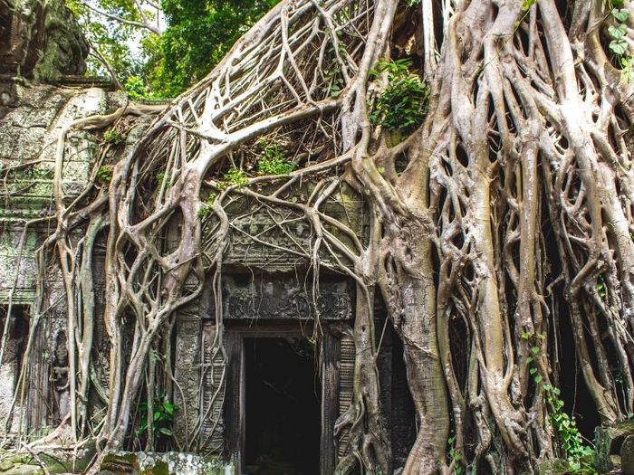 Angkor Wat: Khám phá “trái tim” của Campuchia 19