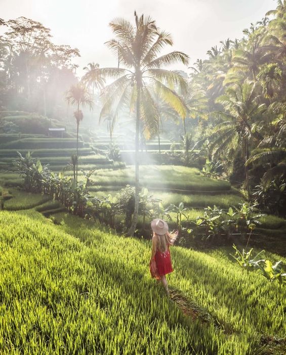 Khám phá du lịch Ubud, nơi văn hóa Bali độc đáo được thể hiện một cách rực rỡ