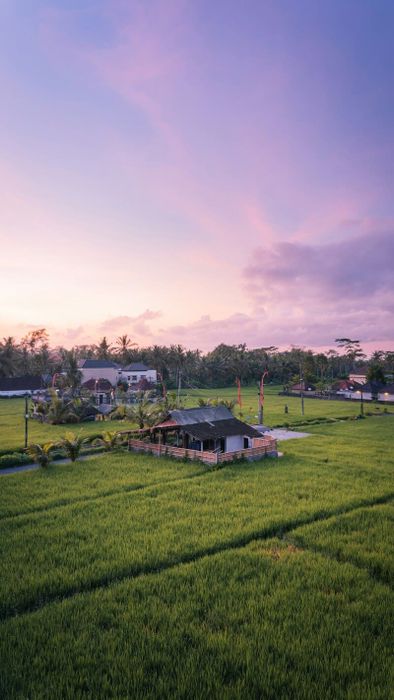 Khám phá du lịch Ubud, nơi tinh thần văn hóa Bali đặc trưng được thể hiện một cách tuyệt vời.