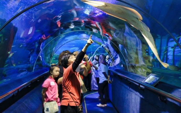 Khám phá Aquaria KLCC với hơn 5.000 loài sinh vật biển đặc sắc