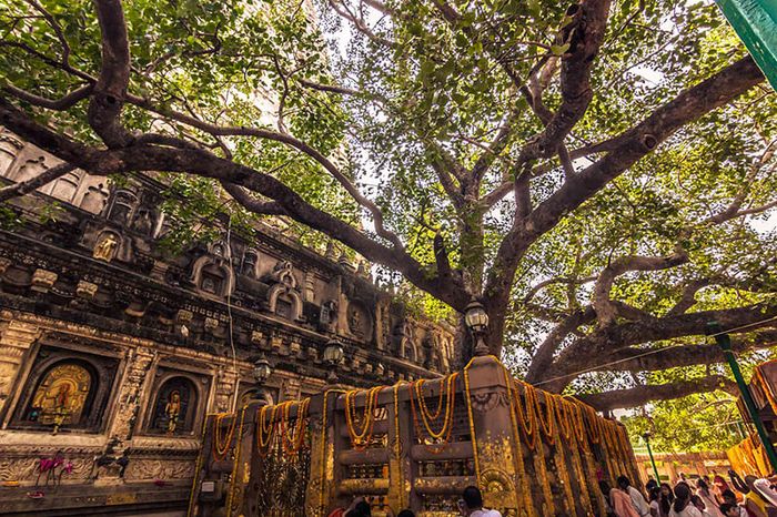 Hành hương tại Bodh Gaya với nhiều truyền thuyết về văn hóa đầy bí ẩn