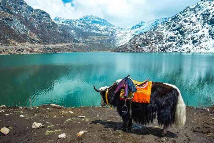 Sikkim - viên ngọc kỳ diệu giấu trong những tu viện linh thiêng của Ấn Độ 2