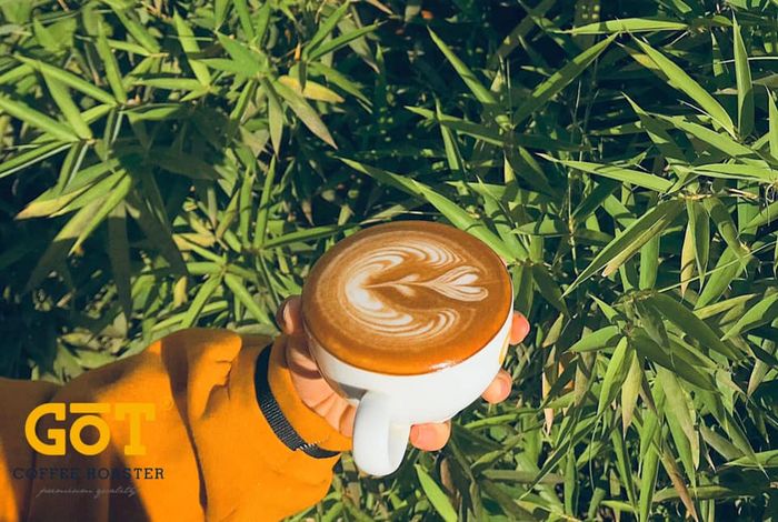 Hãy đến ngay GOT Coffee Bảo Lộc để nghe thêm về câu chuyện về cà phê sạch 4