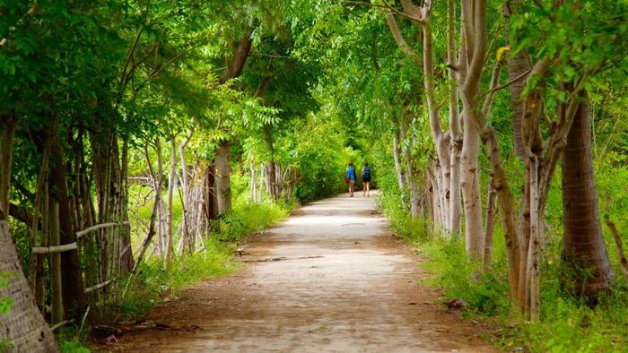 ``Khám phá hòn đảo Gili Trawangan và trải nghiệm cuộc sống bình dị 10``