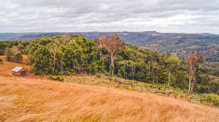 Cao nguyên Mondulkiri với vẻ đẹp hoang sơ của chốn đại ngàn 7