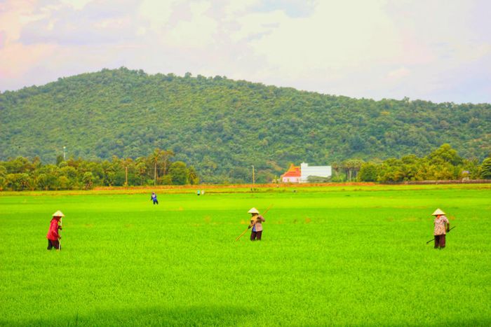Dạo chơi Bảy Núi An Giang để tìm lại sự thanh bình của vùng quê.