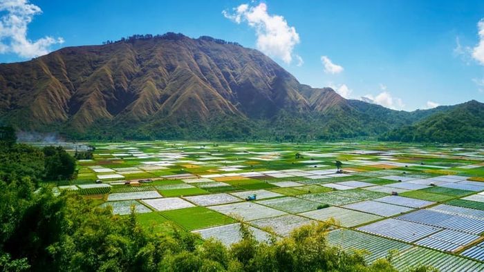 Khám phá vẻ đẹp của Đảo Lombok Indonesia với cảm giác như đến thiên đường