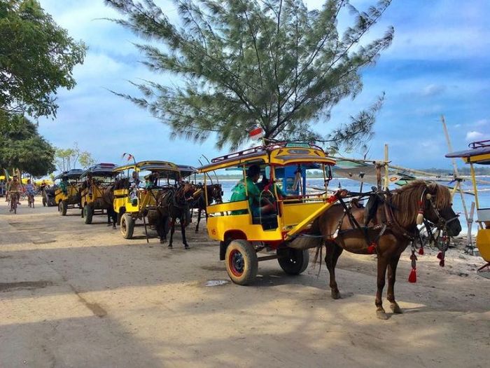 ``Du ngoạn hòn đảo Gili Trawangan xinh đẹp và trải nghiệm cuộc sống bình dị 4``