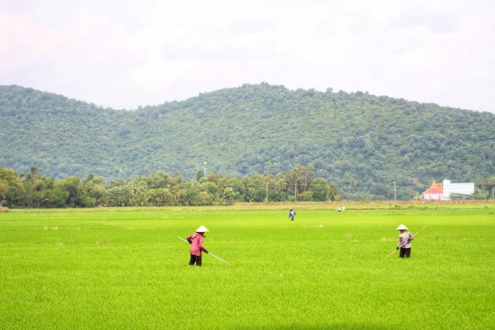 Lang thang Bảy Núi An Giang để tìm về miền quê thanh bình 6.