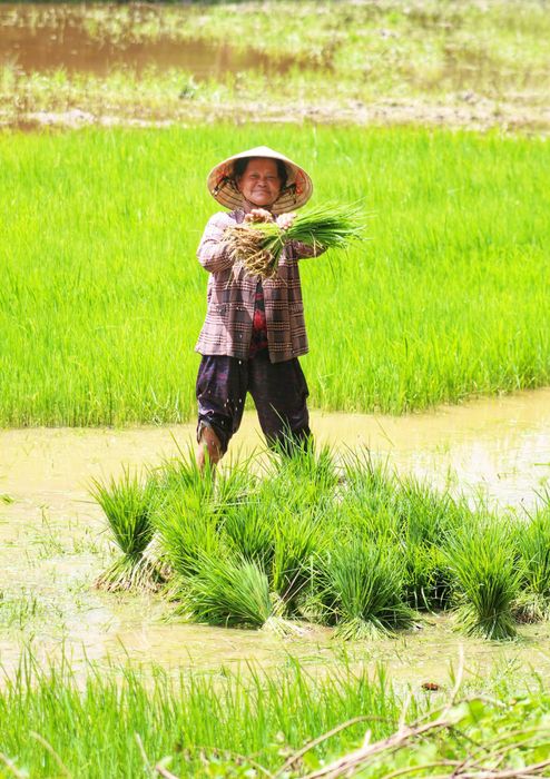 Lang thang Bảy Núi An Giang để tìm về miền quê thanh bình 9.